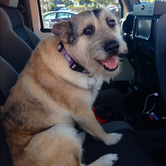 Meet your Posher, Lisa - Picture 5 of 8